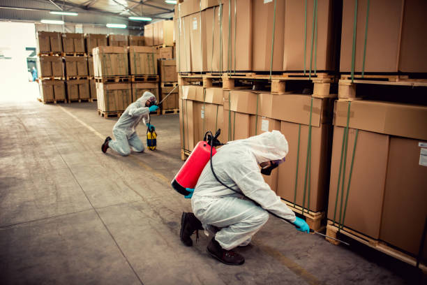Flea Control Services in Madison, WV