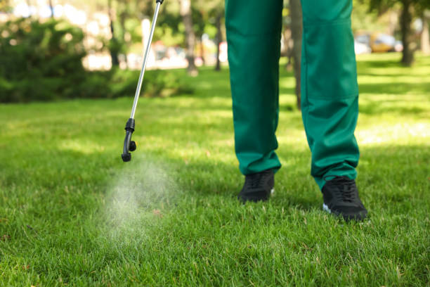 Best Affordable Pest Control Services  in Madison, WV
