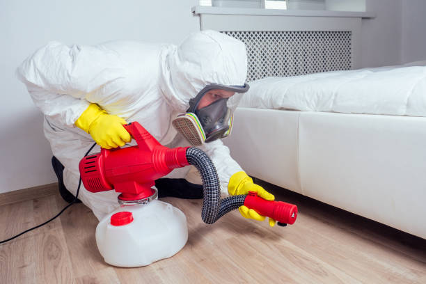 Best Wasp Removal Services  in Madison, WV