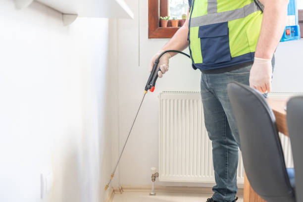 Best Affordable Pest Control Services  in Madison, WV