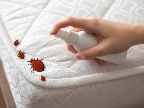 Best Pest Control Near Me in Madison, WV