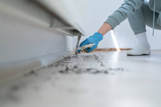Best Emergency Pest Control  in Madison, WV