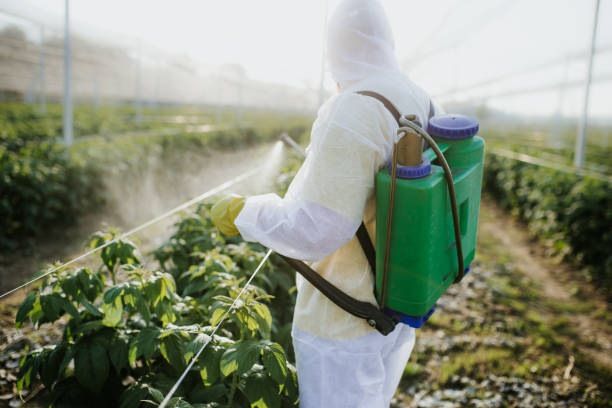 Best Mosquito Control Services  in Madison, WV
